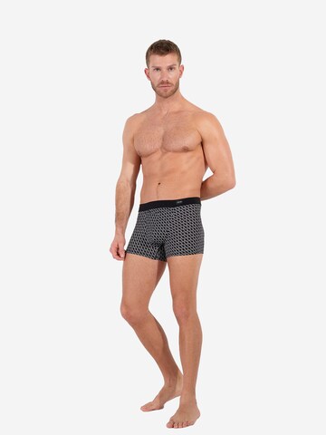 Boxers 'Waldorf' HOM en gris