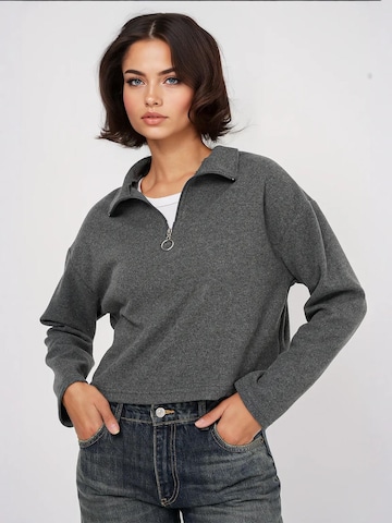 Bigdart Pullover in Grau: Vorderseite