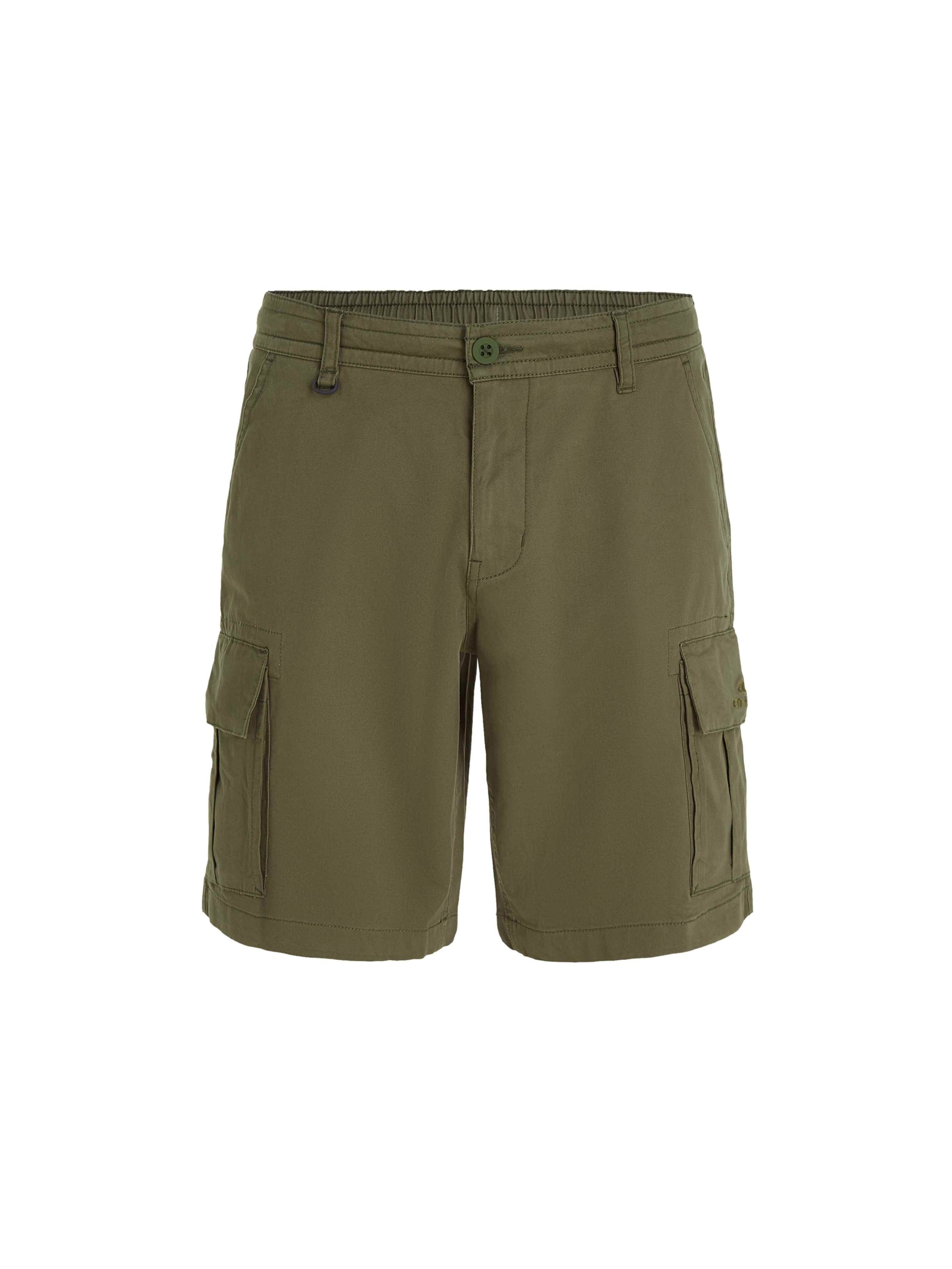 O'NEILL Свободный крой Брюки-карго 'Essentials' в Зеленый: спереди