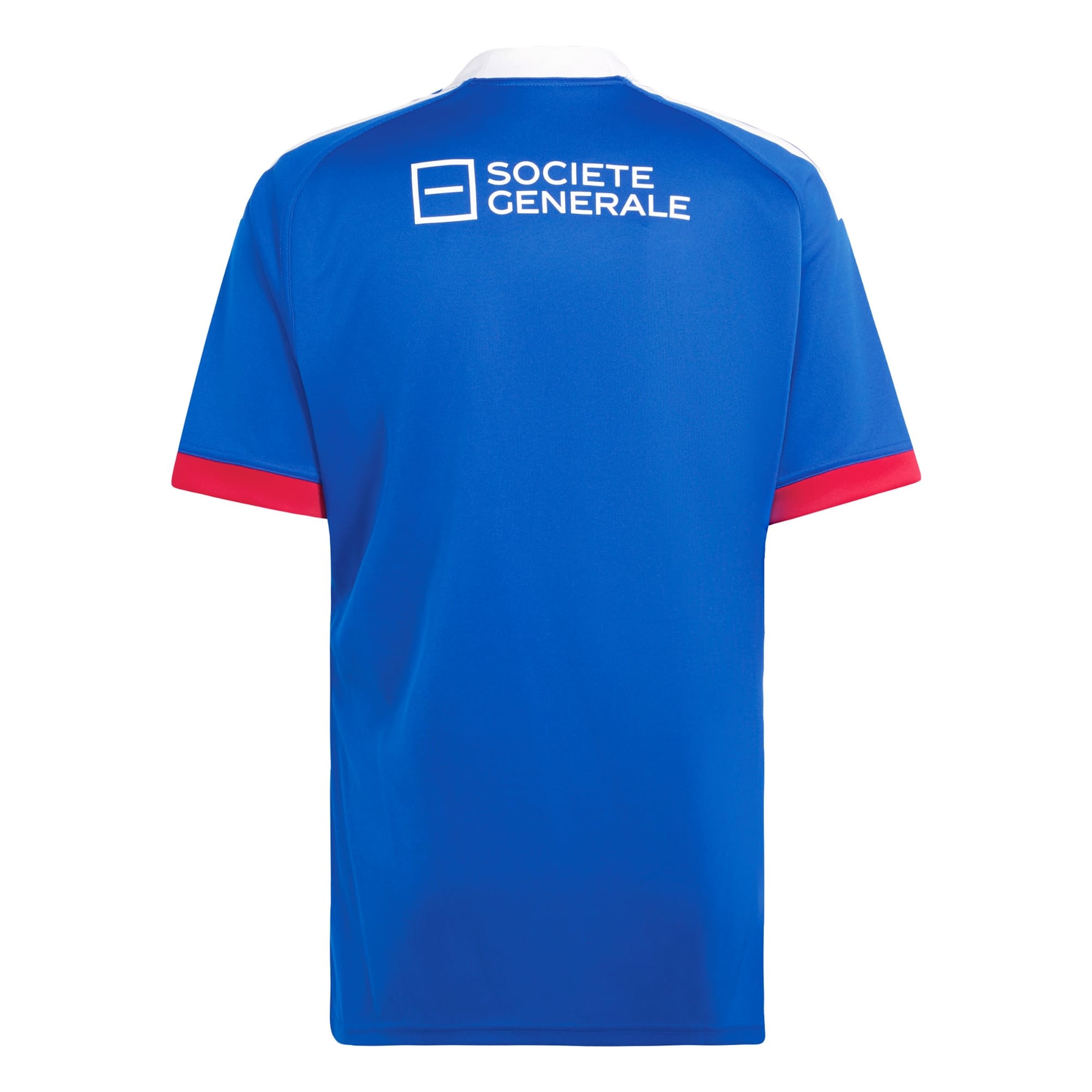 ADIDAS PERFORMANCE Tricot 'Frankreich' in Blauw