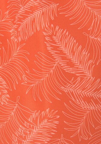 Bruno Banani Swimming shorts in Orange
