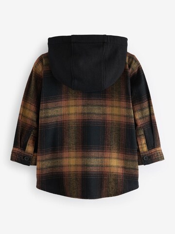 Next Regular fit Set in Bruin