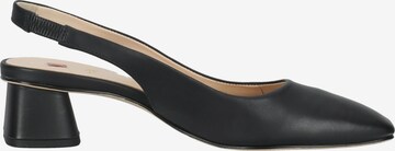 Högl Slingback Pumps ' Kat ' in Black