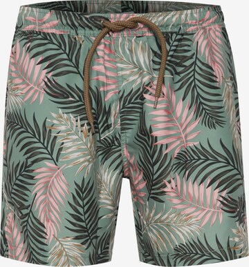 !Solid Board Shorts in Green: front