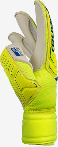 REUSCH Athletic Gloves 'Attrakt' in Yellow