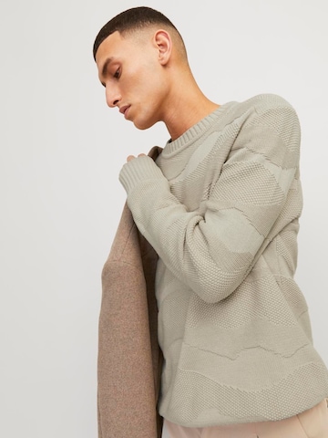 JACK & JONES Trui 'Blujosh' in Beige