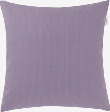 Coussins ESPRIT en violet : devant