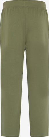 UNCLE SAM Regular Pants in Green