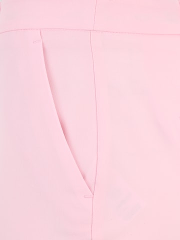Regular Pantalon chino Dorothy Perkins Petite en rose