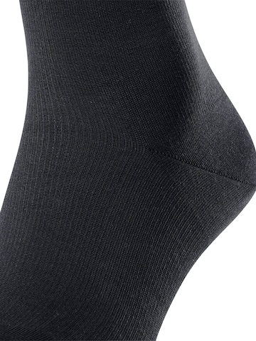 FALKE Knee High Socks 'Energizing Cotton' in Blue: front