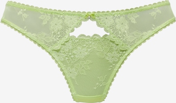 String VIVANCE en vert : devant