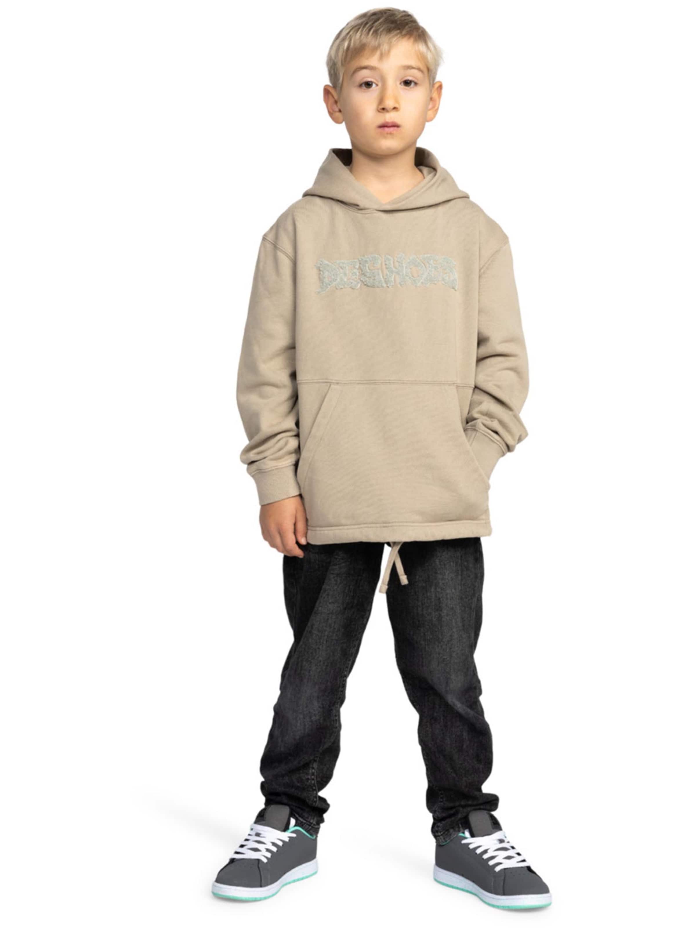 Hanorac sport 'MORTAR' de la DC Shoes pe bej