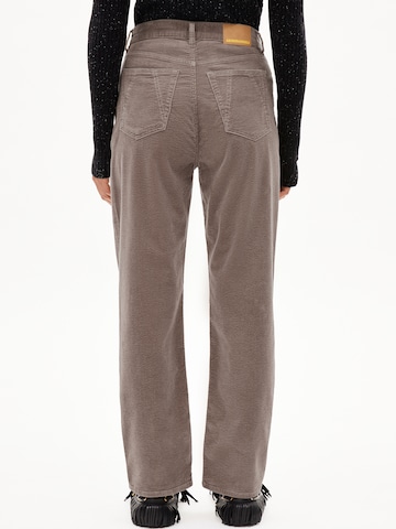 Regular Pantalon ARMEDANGELS en marron