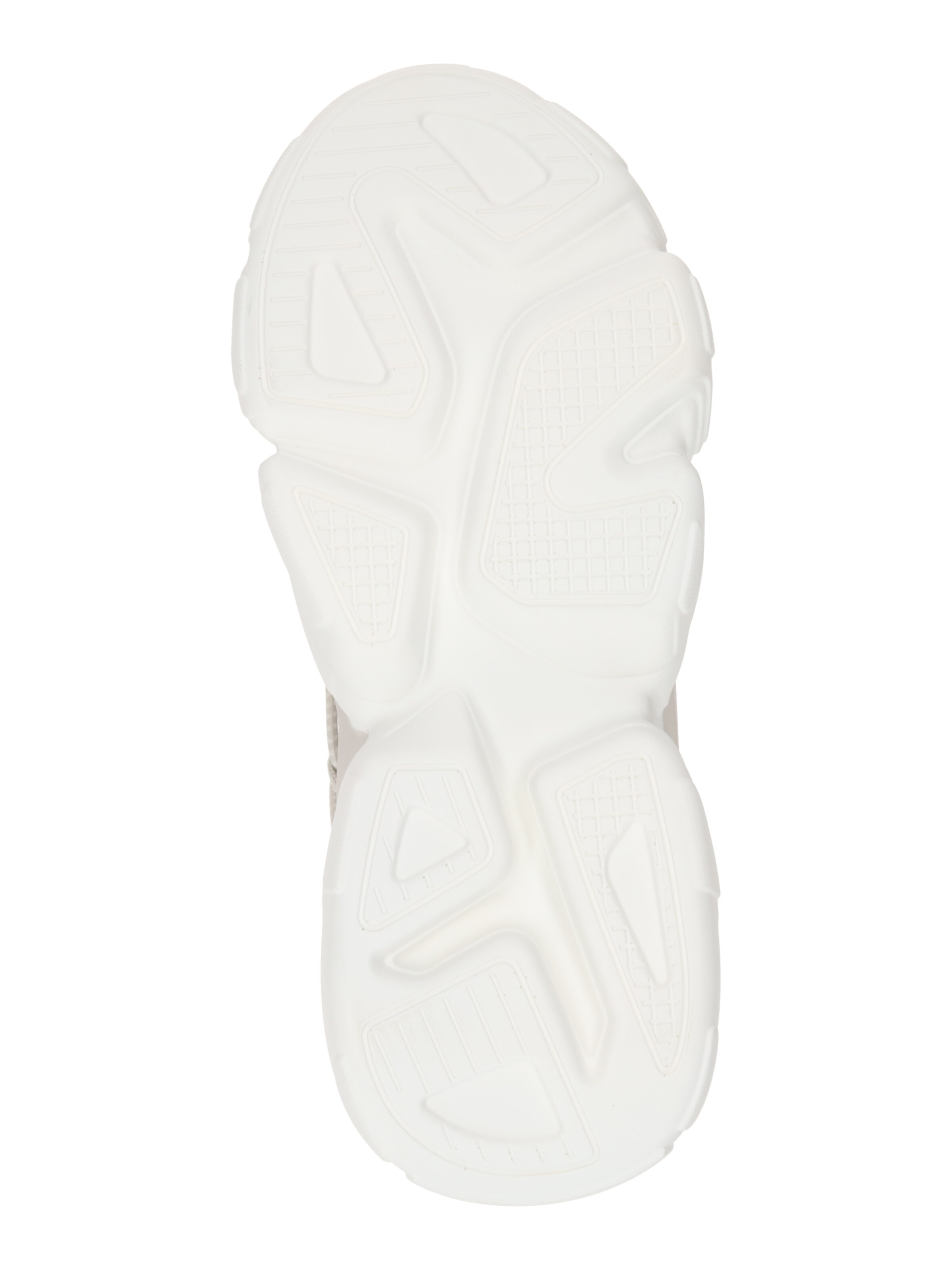 STEVE MADDEN Sneakers laag 'Spectator' in Grijs