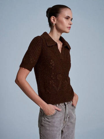 Dilvin Pullover 'Pullover'‌‌‌‌ in Braun