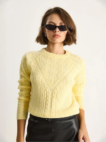 Bianco Lucci Pulover 'Pullover' | rumena barva: sprednja stran