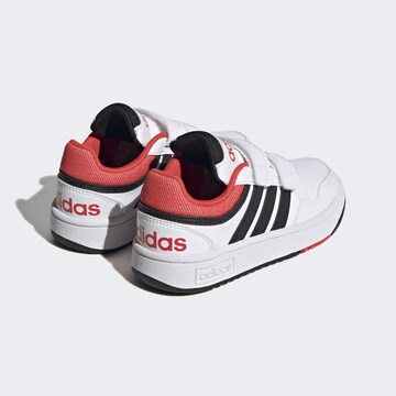 Baskets 'Hoops' ADIDAS SPORTSWEAR en blanc