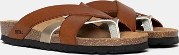 Bayton Mule 'Alava' in Brown