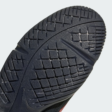 Baskets basses 'Predator Sala' ADIDAS ORIGINALS en noir