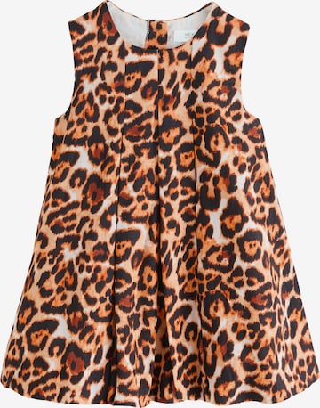 mišri Next Suknelė: priekis