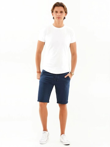 Alessandro Salvarini Regular Broek in Blauw