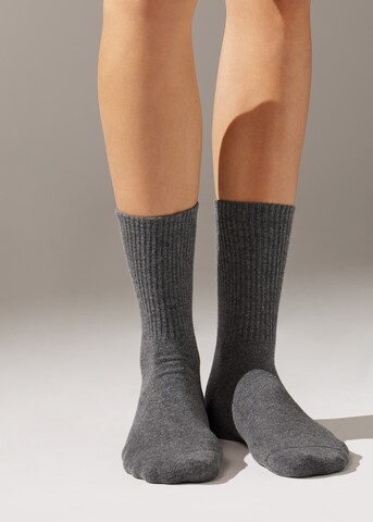 CALZEDONIA Socken in Grau: Vorderseite