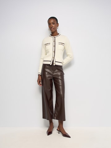 Salsa Jeans Tapered Trousers in Brown