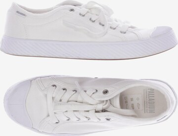 Palladium Sneakers & Trainers in 39 in White: front
