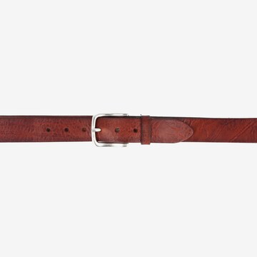 b.belt Belt 'Cesar' in Brown