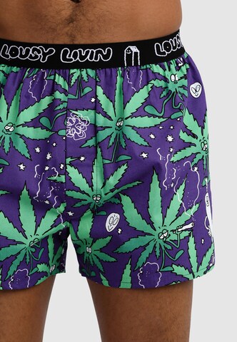 Lousy Livin Boxershorts 'Outer Weedy' in Grün