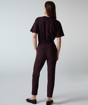 Ipekyol Regular Broek in Bruin