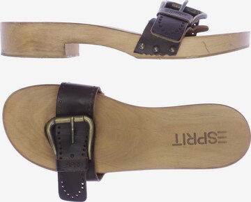 ESPRIT Sandalen 39 in Braun ABOUT YOU