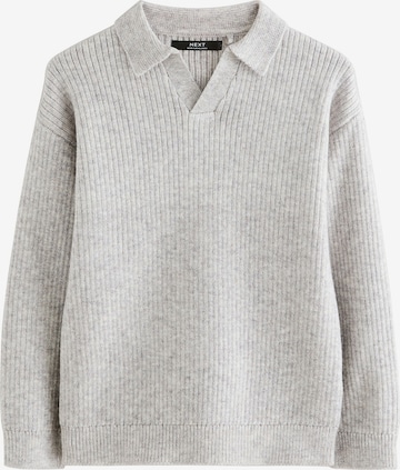 pilka Next Megztinis: priekis