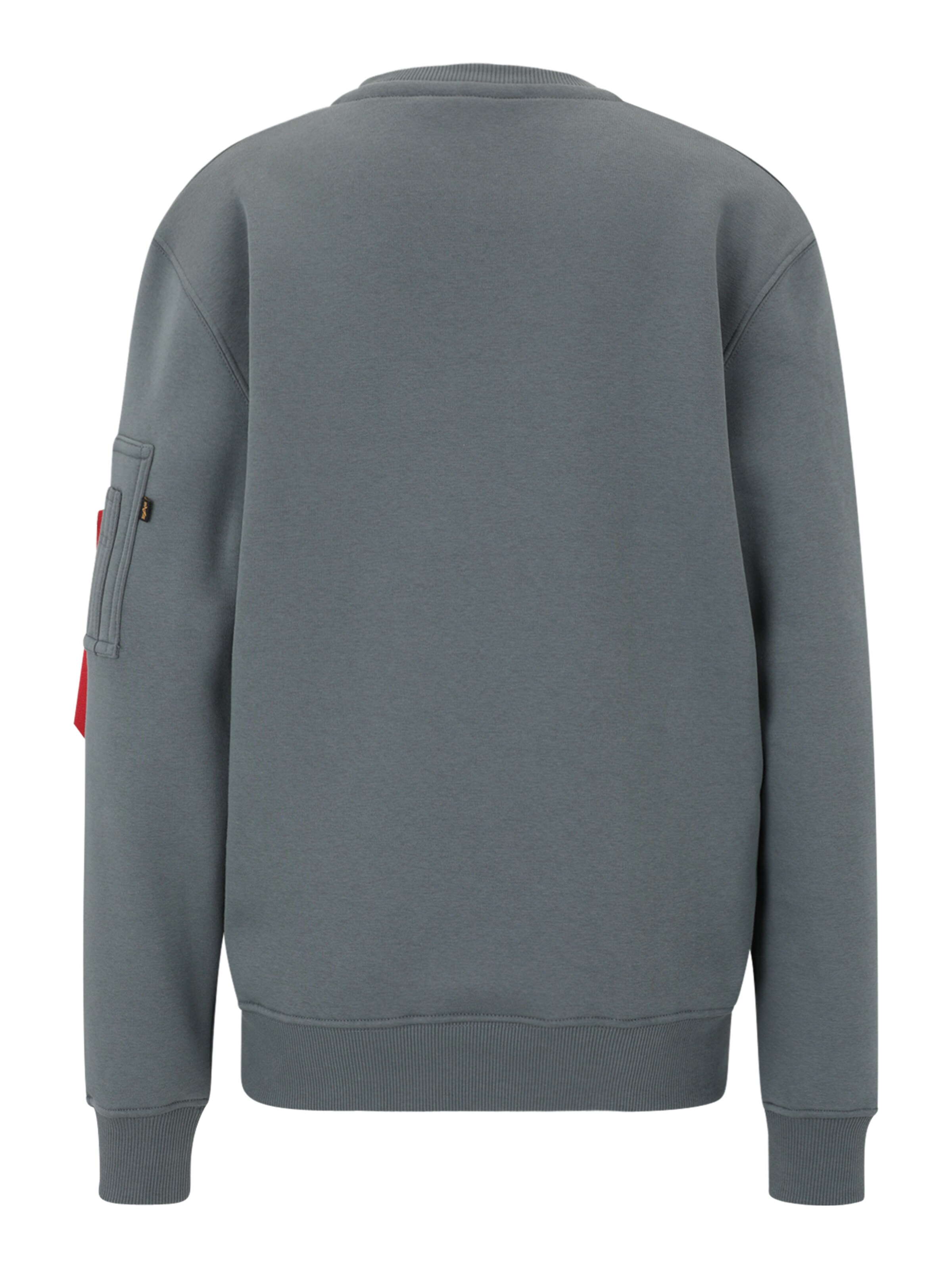 Felpa di ALPHA INDUSTRIES in blu