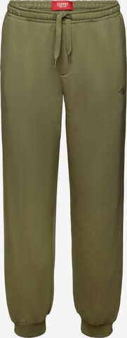 ESPRIT Tapered Pants in Green: front