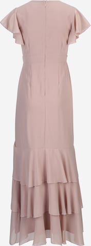 Coast Petite Dress in Pink