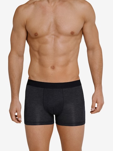 SCHIESSER Regular Boxer shorts in Blue