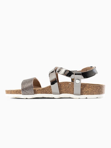 Sandales 'Enyo' Bayton en gris