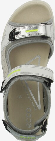 ECCO Hiking Sandals 'Offroad' in Grey