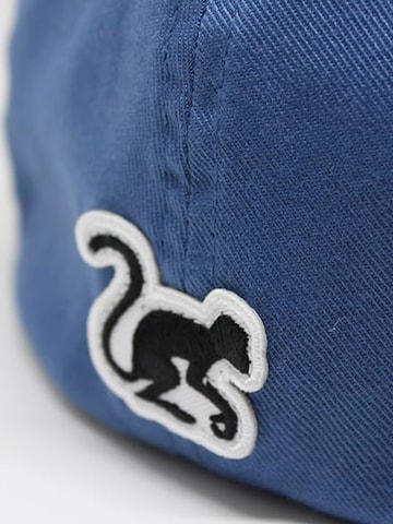 Surf Monkey - Gorra deportiva en azul