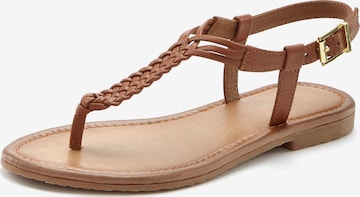 VIVANCE Zehentrenner in Braun: Vorderseite