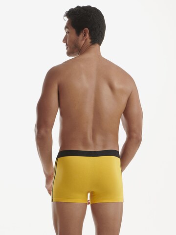 ADIDAS SPORTSWEAR Boxershorts ' Active Flex Cotton ' in Gemengde kleuren