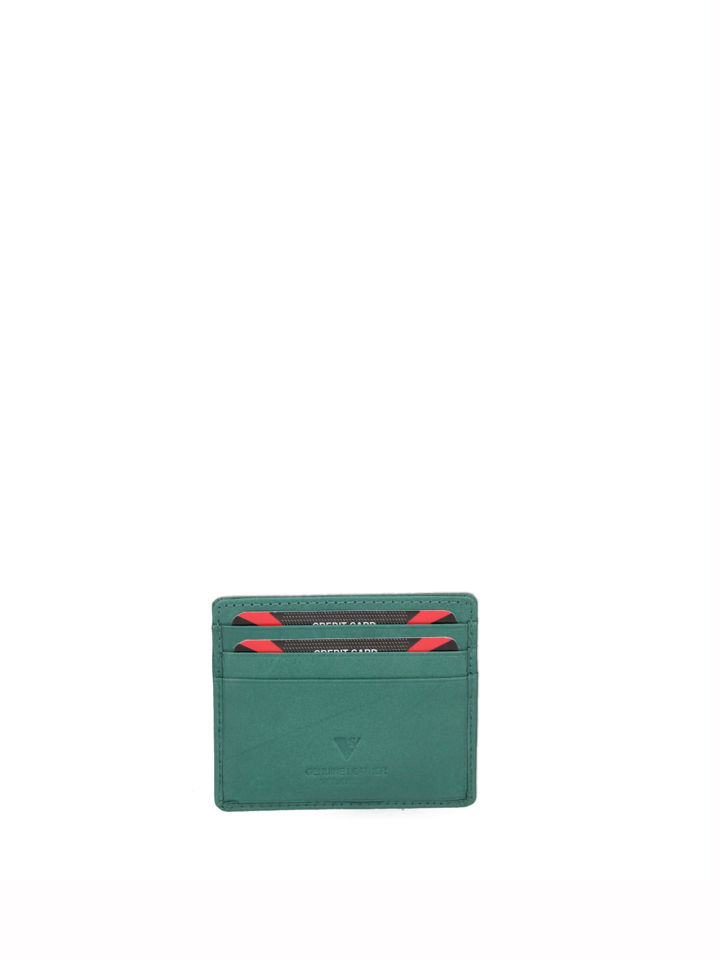 Sergio Valentini Case in Green: front