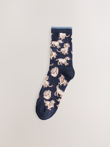 Next Socken in Mischfarben