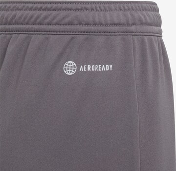 ADIDAS PERFORMANCE Regular Sportshorts 'Entrada 22' in Grau