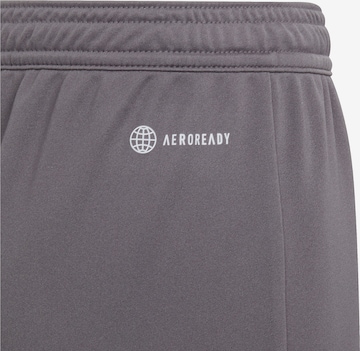 ADIDAS PERFORMANCE Regular Workout Pants 'Entrada 22' in Grey
