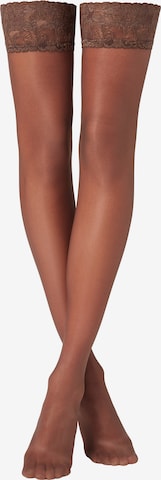 CALZEDONIA Feinstrümpfe in Braun: Vorderseite