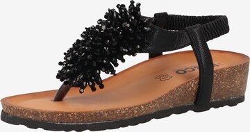 IGI&CO T-Bar Sandals in Black: front