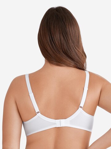 FELINA Minimizer BH 'Moments' in Wit