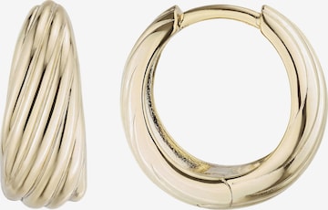 Jobo Earrings in Gold: front
